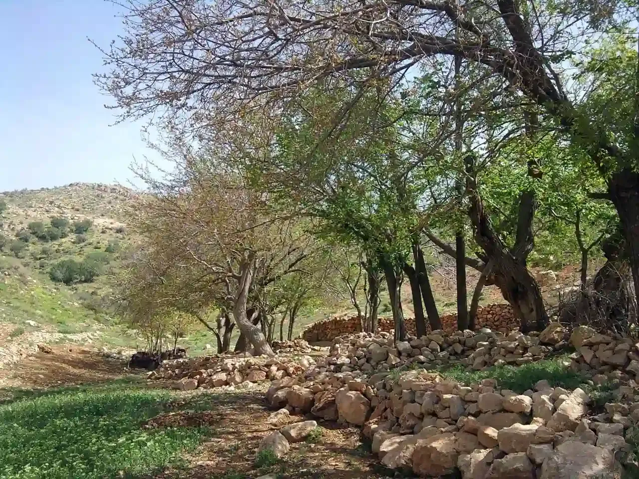 عکاسی در کوه دراک شیراز