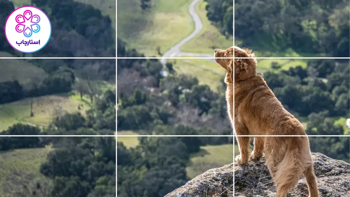 قانون یک سوم در عکاسی