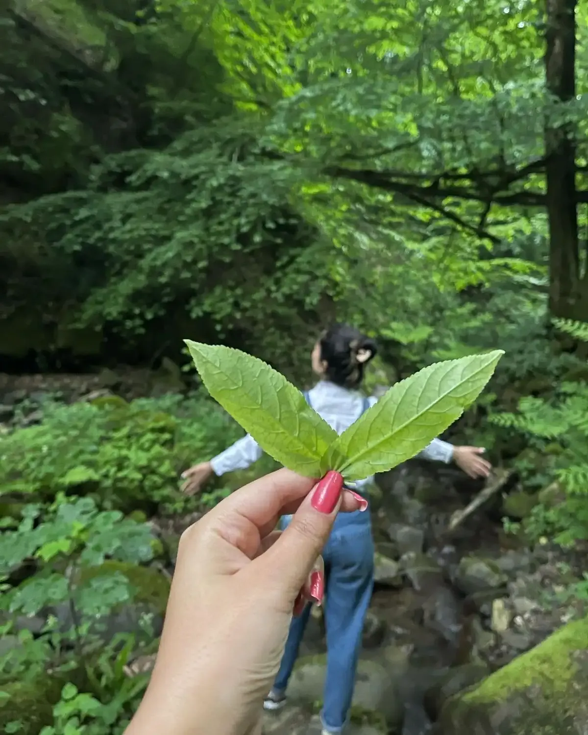 ایده عکاسی بدون چهره هنگام قدم زدن در جنگل