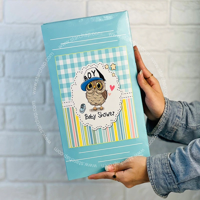 آلبوم عکس 10در15 پاکتی- جغد آبی پسرونه